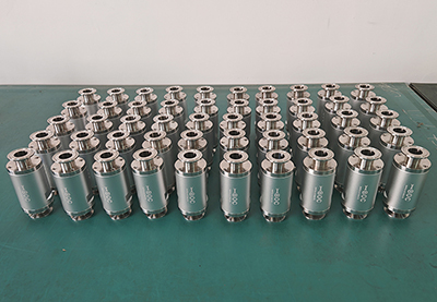 2025-10-17 BMPS14-DN25 Food grade pinch Valve (en inglés)